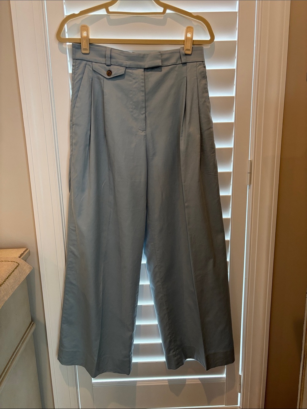 Banana Republic Blue Wide-Leg Pleated Trousers